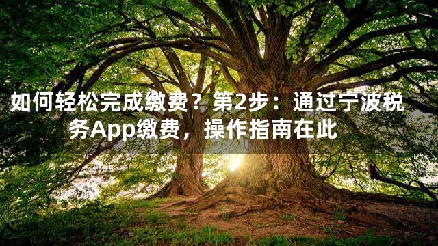 如何轻松完成缴费？第2步：通过宁波税务App缴费，操作指南在此