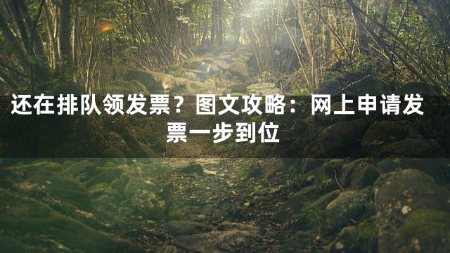 还在排队领发票？图文攻略：网上申请发票一步到位