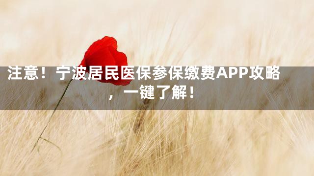 注意！宁波居民医保参保缴费APP攻略，一键了解！