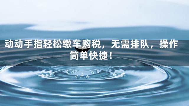 动动手指轻松缴车购税，无需排队，操作简单快捷！