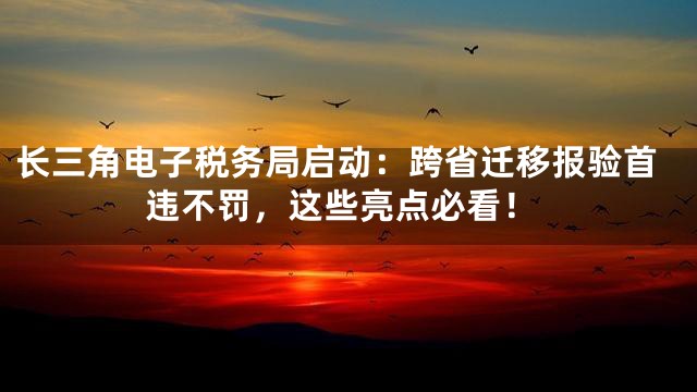 长三角电子税务局启动：跨省迁移报验首违不罚，这些亮点必看！