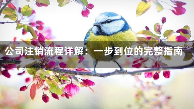 公司注销流程详解：一步到位的完整指南