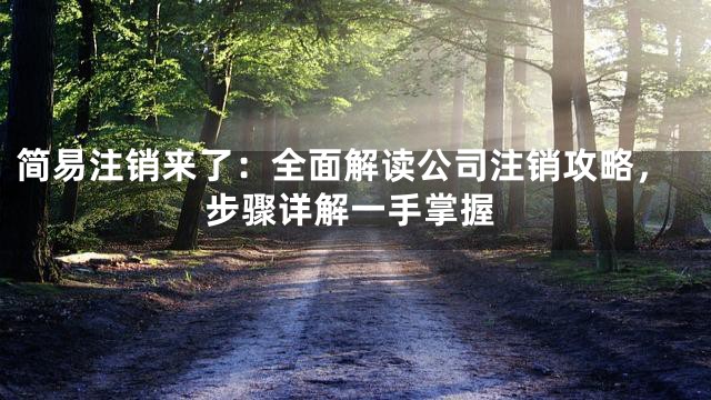 简易注销来了：全面解读公司注销攻略，步骤详解一手掌握