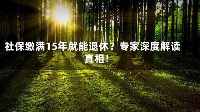 社保缴满15年就能退休？专家深度解读真相！