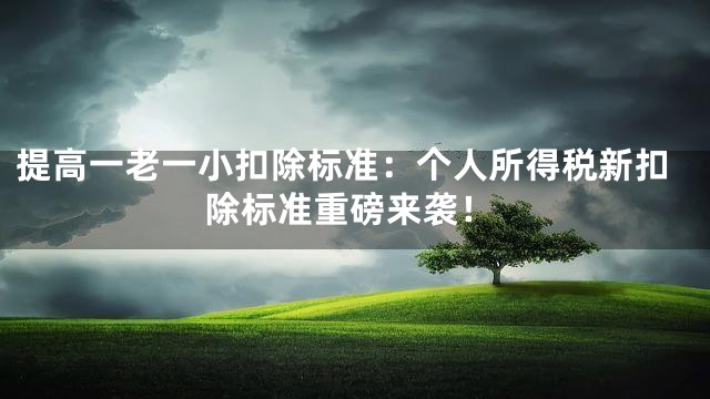 提高一老一小扣除标准：个人所得税新扣除标准重磅来袭！