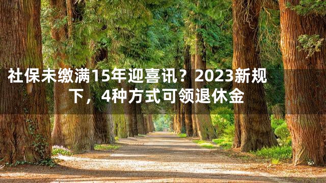 社保未缴满15年迎喜讯？2023新规下，4种方式可领退休金