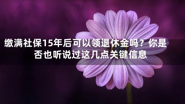 缴满社保15年后可以领退休金吗？你是否也听说过这几点关键信息