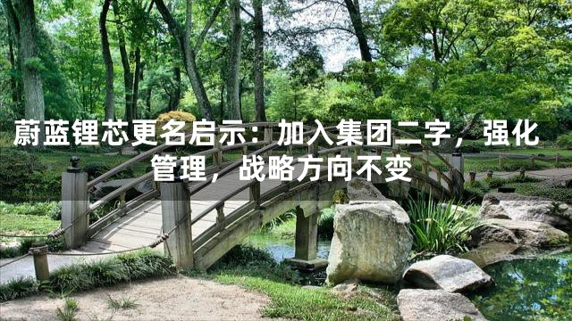 蔚蓝锂芯更名启示：加入集团二字，强化管理，战略方向不变