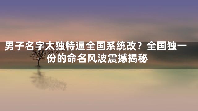 男子名字太独特逼全国系统改？全国独一份的命名风波震撼揭秘