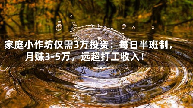 家庭小作坊仅需3万投资：每日半班制，月赚3-5万，远超打工收入！