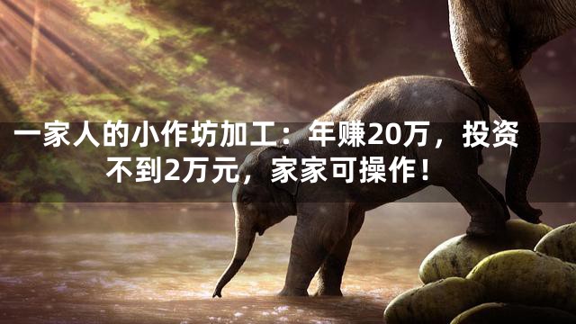 一家人的小作坊加工：年赚20万，投资不到2万元，家家可操作！