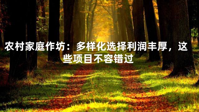 农村家庭作坊：多样化选择利润丰厚，这些项目不容错过