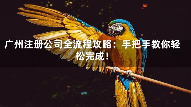 广州注册公司全流程攻略：手把手教你轻松完成！