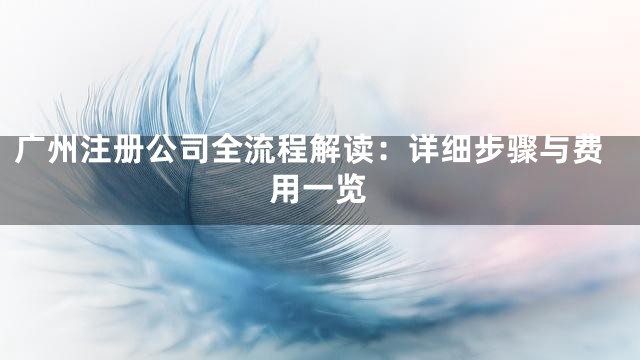 广州注册公司全流程解读：详细步骤与费用一览