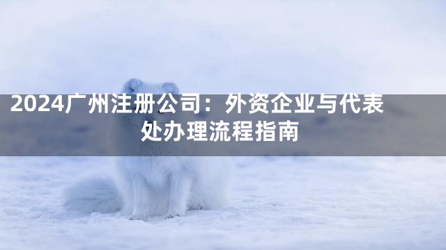 2024广州注册公司：外资企业与代表处办理流程指南