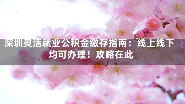 深圳灵活就业公积金缴存指南：线上线下均可办理！攻略在此