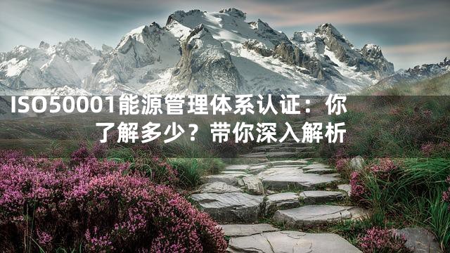 ISO50001能源管理体系认证：你了解多少？带你深入解析