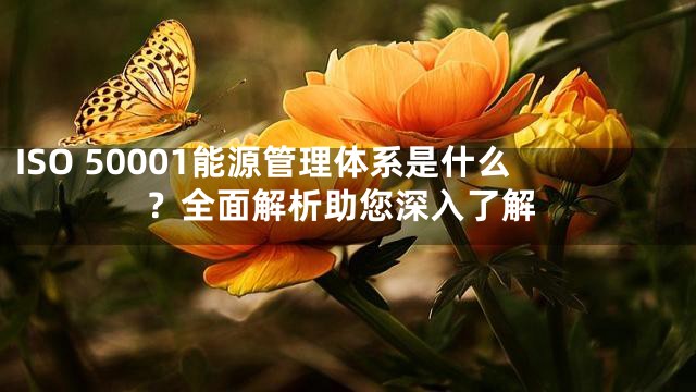 ISO 50001能源管理体系是什么？全面解析助您深入了解