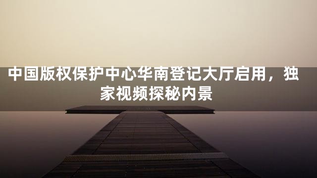 中国版权保护中心华南登记大厅启用，独家视频探秘内景