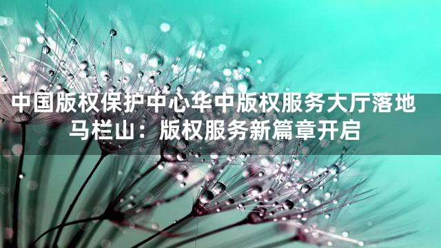 中国版权保护中心华中版权服务大厅落地马栏山：版权服务新篇章开启