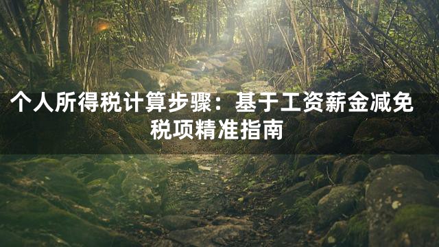 个人所得税计算步骤：基于工资薪金减免税项精准指南