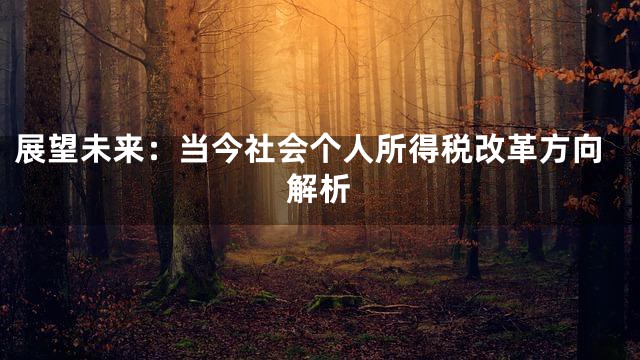 展望未来：当今社会个人所得税改革方向解析