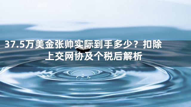 37.5万美金张帅实际到手多少？扣除上交网协及个税后解析