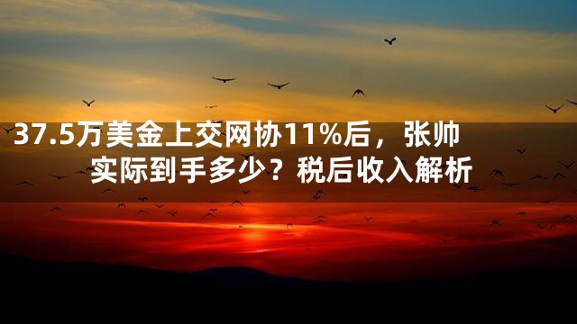 37.5万美金上交网协11%后，张帅实际到手多少？税后收入解析