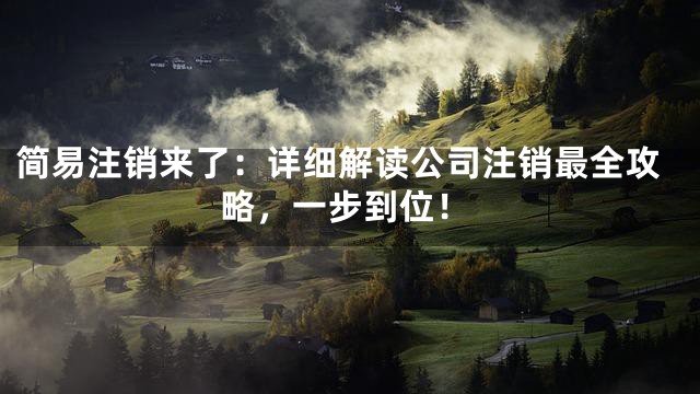 简易注销来了：详细解读公司注销最全攻略，一步到位！