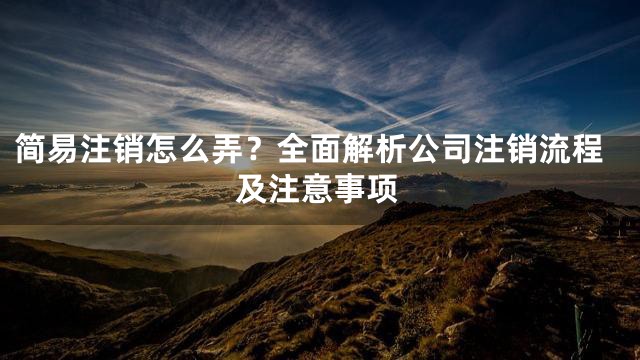 简易注销怎么弄？全面解析公司注销流程及注意事项