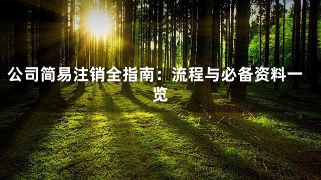 公司简易注销全指南：流程与必备资料一览