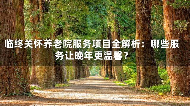 临终关怀养老院服务项目全解析：哪些服务让晚年更温馨？