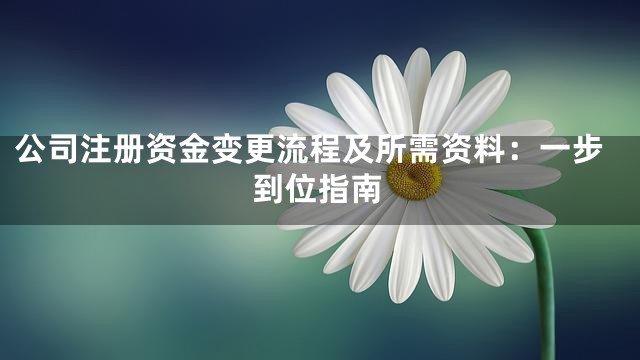 公司注册资金变更流程及所需资料：一步到位指南