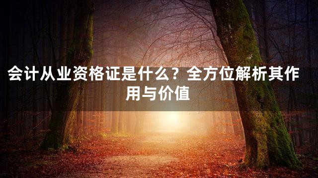 会计从业资格证是什么？全方位解析其作用与价值