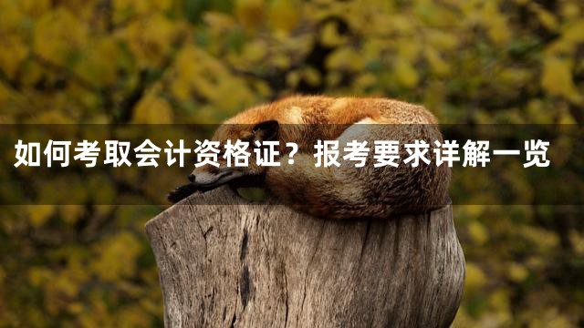 如何考取会计资格证？报考要求详解一览