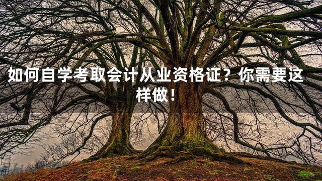 如何自学考取会计从业资格证？你需要这样做！