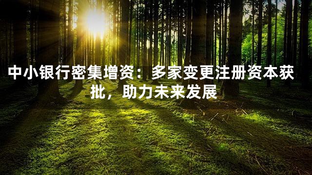 中小银行密集增资：多家变更注册资本获批，助力未来发展