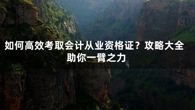 如何高效考取会计从业资格证？攻略大全助你一臂之力