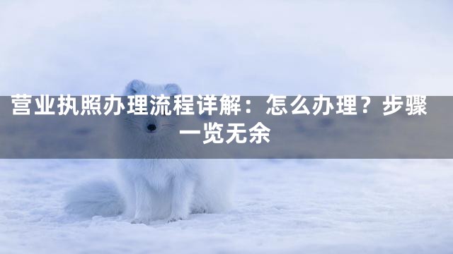 营业执照办理流程详解：怎么办理？步骤一览无余
