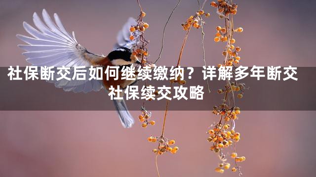 社保断交后如何继续缴纳？详解多年断交社保续交攻略