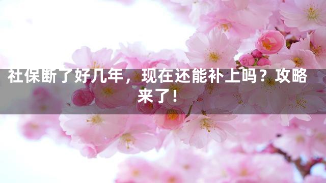 社保断了好几年，现在还能补上吗？攻略来了！