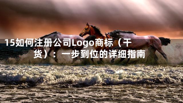 15

如何注册公司Logo商标（干货）：一步到位的详细指南