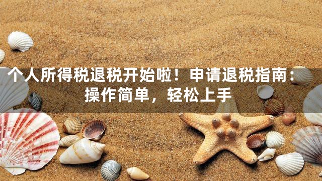 个人所得税退税开始啦！申请退税指南：操作简单，轻松上手