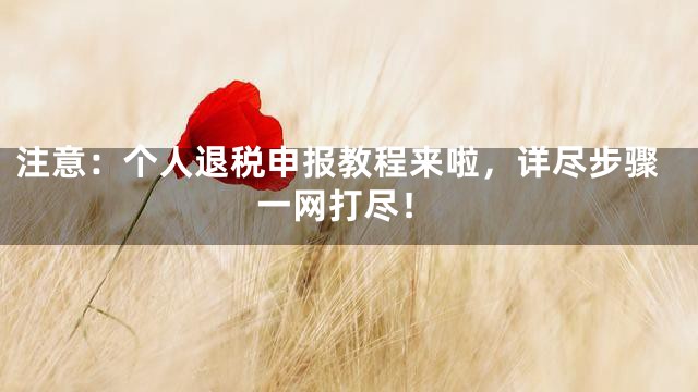 注意：个人退税申报教程来啦，详尽步骤一网打尽！