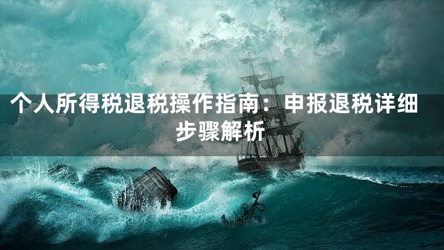 个人所得税退税操作指南：申报退税详细步骤解析