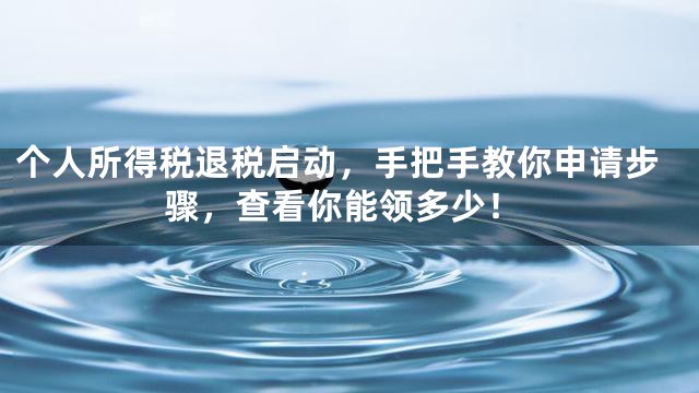 个人所得税退税启动，手把手教你申请步骤，查看你能领多少！
