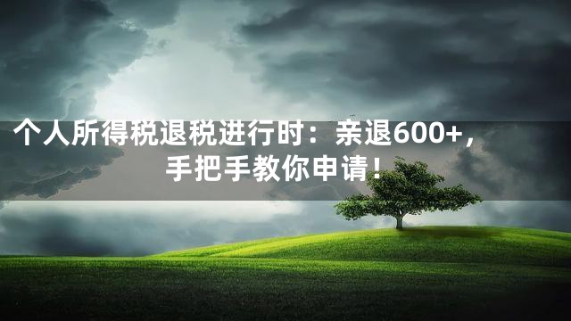 个人所得税退税进行时：亲退600+，手把手教你申请！