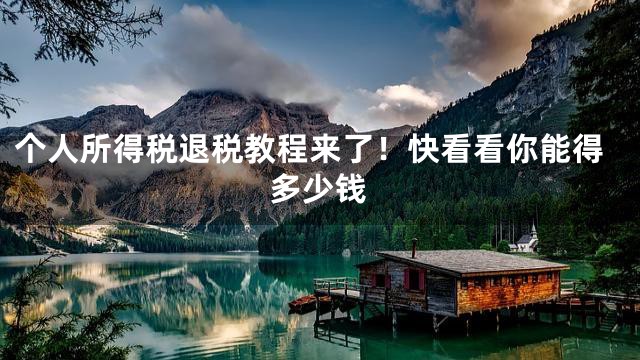 个人所得税退税教程来了！快看看你能得多少钱