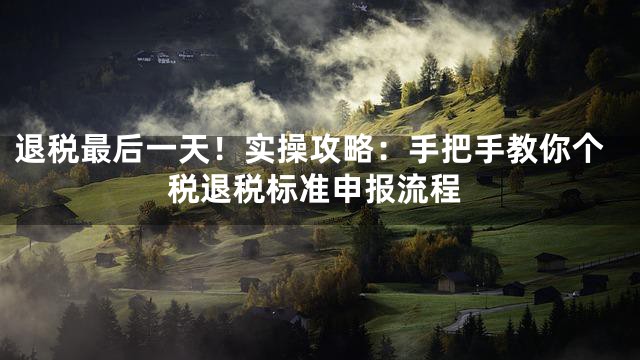 退税最后一天！实操攻略：手把手教你个税退税标准申报流程