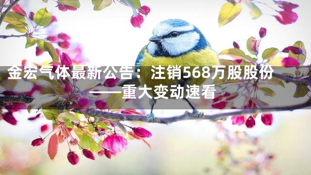 金宏气体最新公告：注销568万股股份——重大变动速看